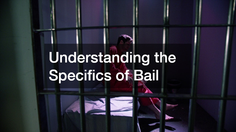 Understanding the Specifics of Bail